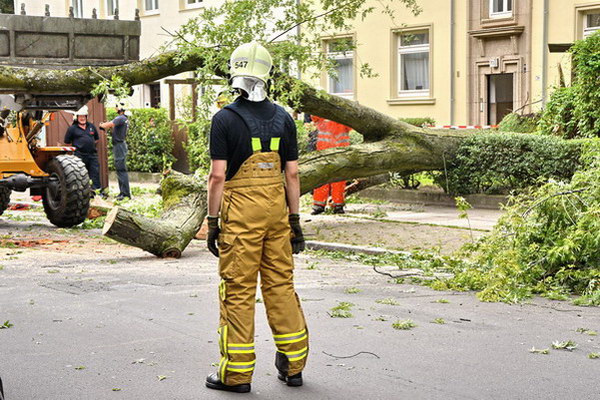 Feuerwehr_Baum   026.jpg